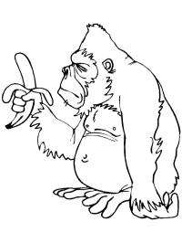 Мавпа з бананом