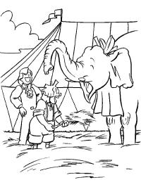 Бассі та Адріан із слоном