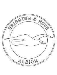 Футбольний клуб Brighton & Hove Albion