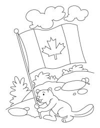 Бобер тримає канадський прапор