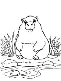 Капібара біля води