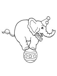 Цирковий слон на м'ячі