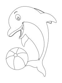 Дельфін з м'ячем