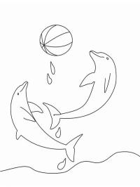 дельфіни грають з м'ячем
