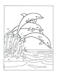 Дельфіни стрибають в море