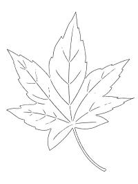 кленовий листок