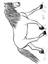 фризський кінь