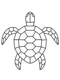 Геометрична черепаха