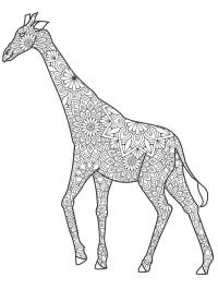 Жираф для дорослих