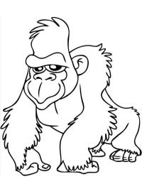 Кумедна горила