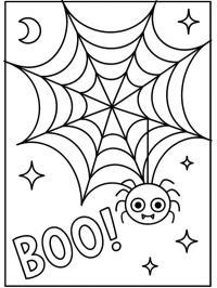 Веселий павук у павутинні