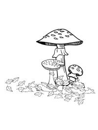 осінні гриби