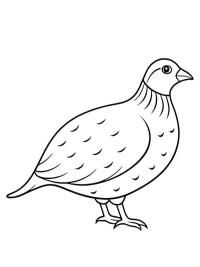 Перепілка