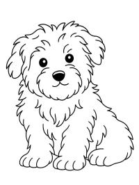 Мальтійська собака