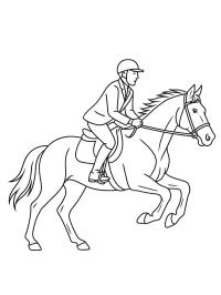 Кінь у галопі з вершником