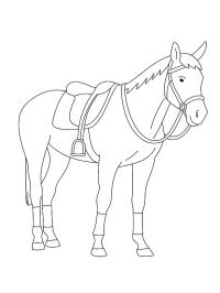 Кінь Озоснел