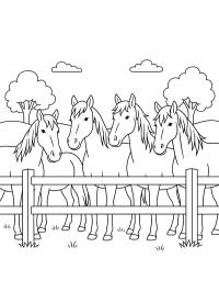 Табун коней за парканом