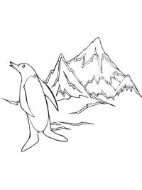 Пінгвін на південному полюсі