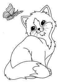 Метелик і кошеня