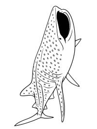 Китова акула