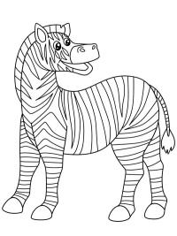 Зебра